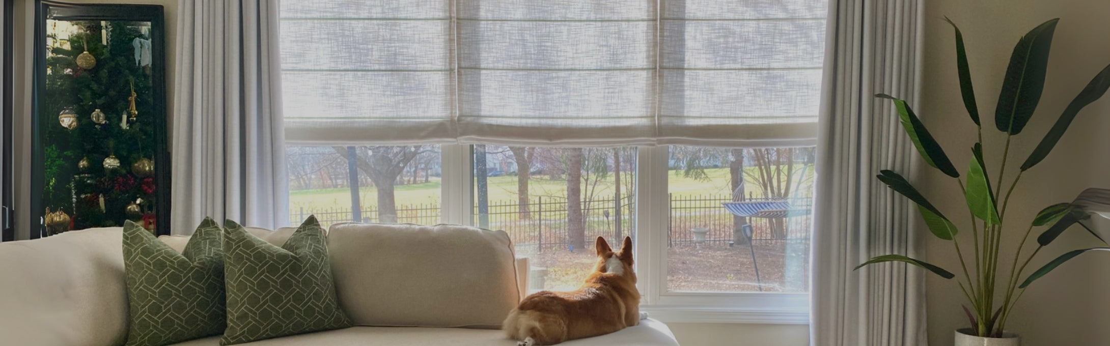 Custom Shades banner