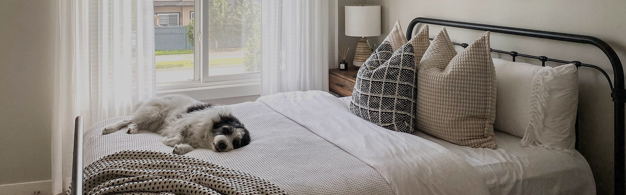 Scratch Resistant Curtains banner