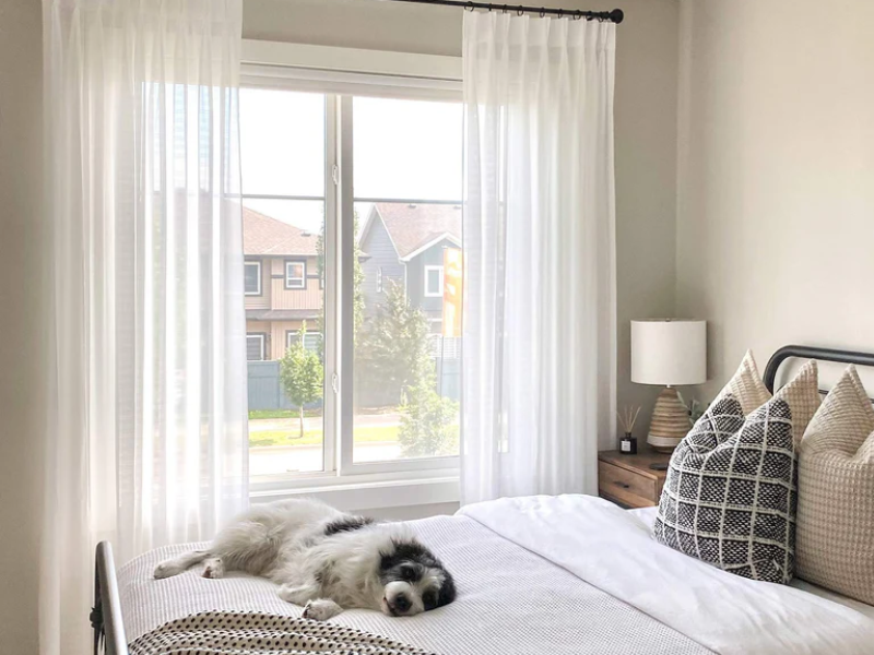 See Through Curtains